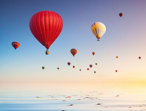 Scegli la tua polizza